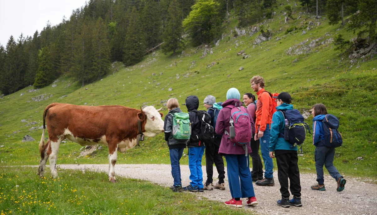 © DAV Sektion Rosenheim