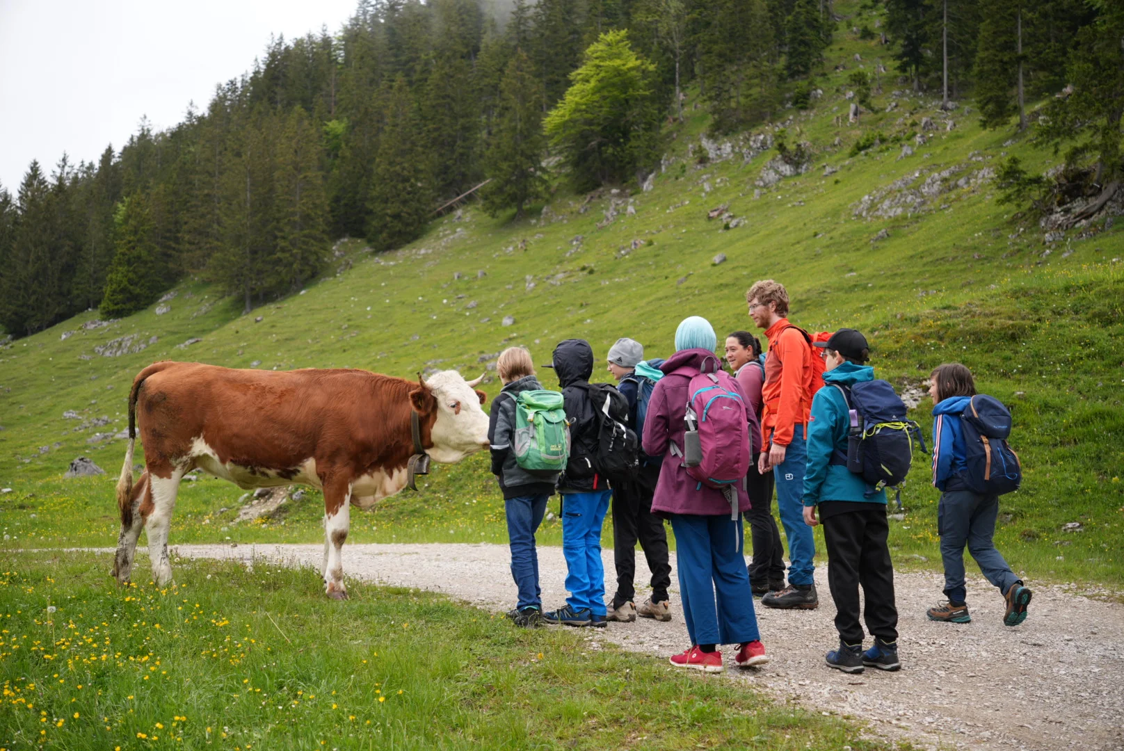 © DAV Sektion Rosenheim