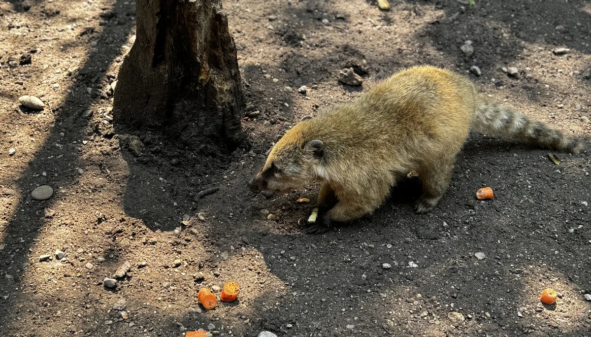 © DAV Sektion Rosenheim