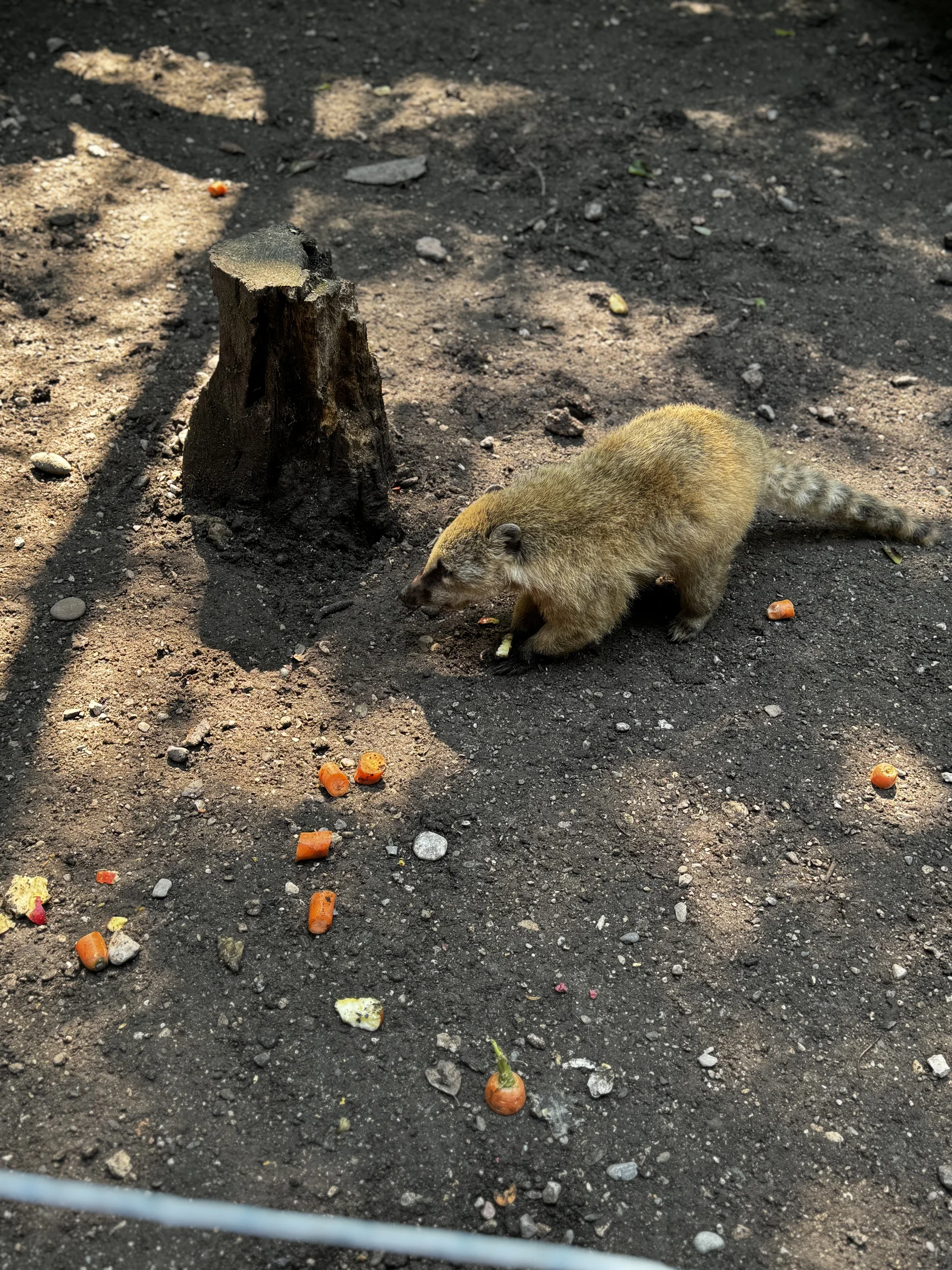 © DAV Sektion Rosenheim