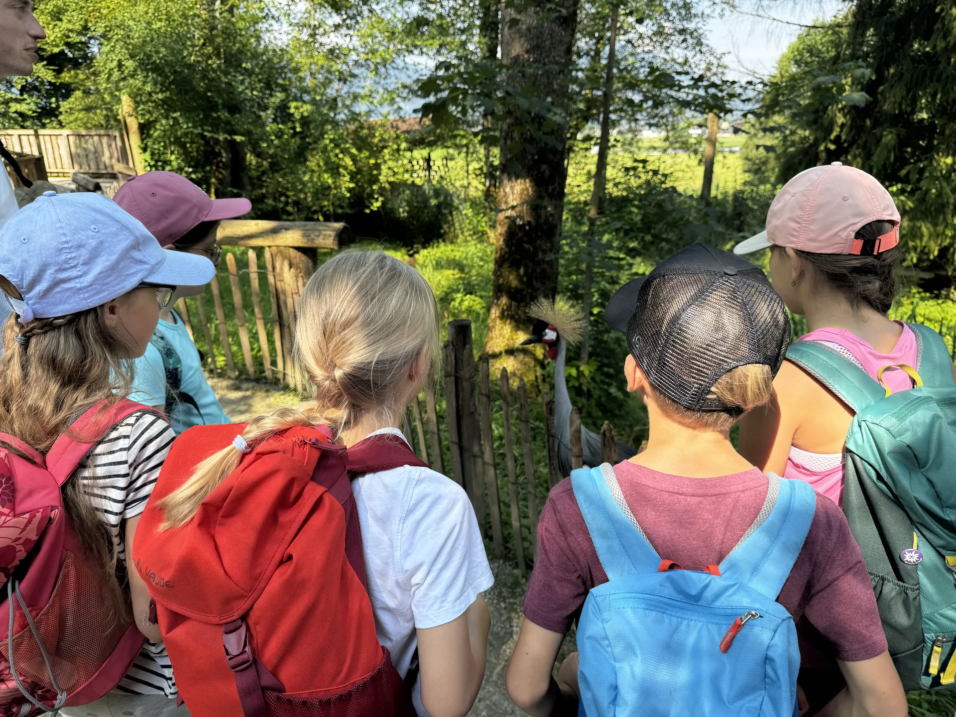 © DAV Sektion Rosenheim