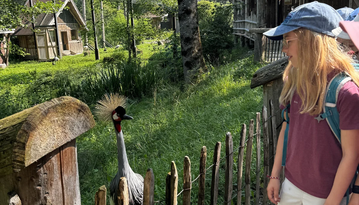 © DAV Sektion Rosenheim