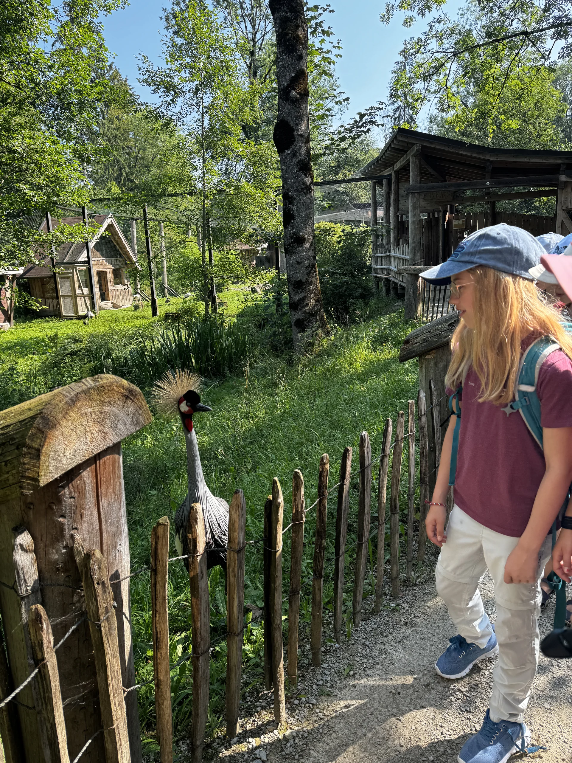 © DAV Sektion Rosenheim