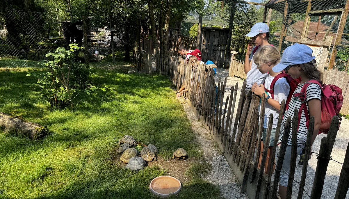 © DAV Sektion Rosenheim