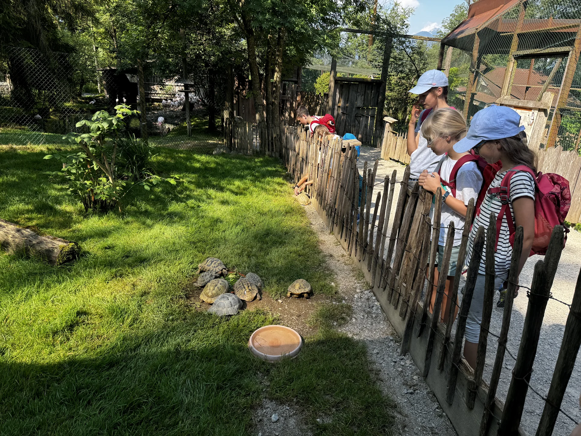 © DAV Sektion Rosenheim