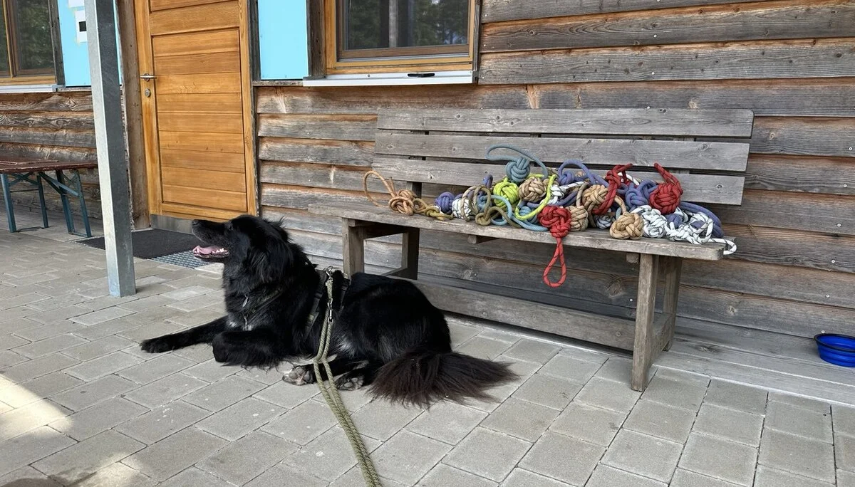 © DAV Sektion Rosenheim