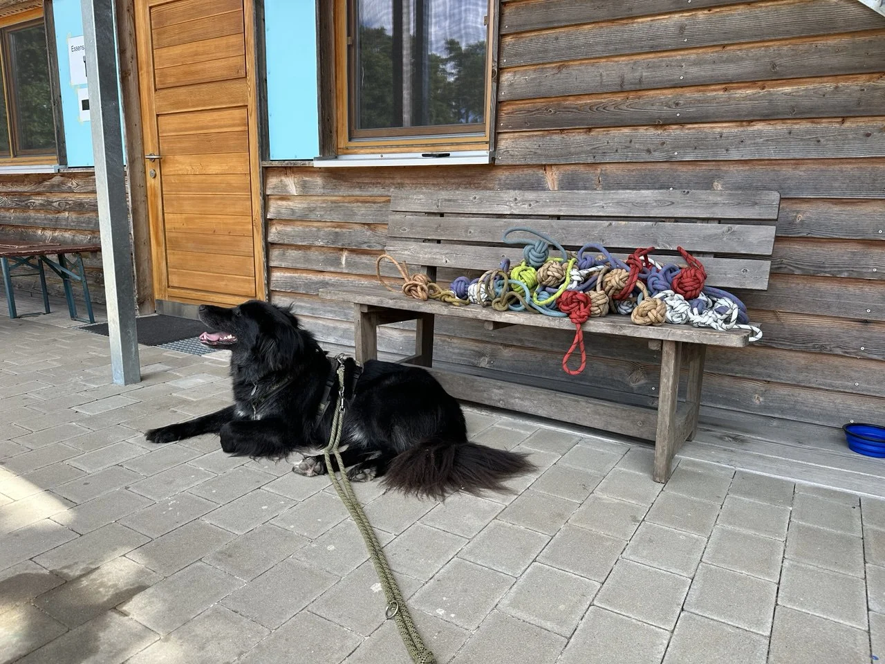 © DAV Sektion Rosenheim