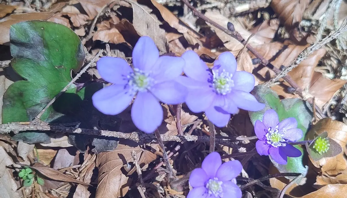 © DAV Sektion Rosenheim