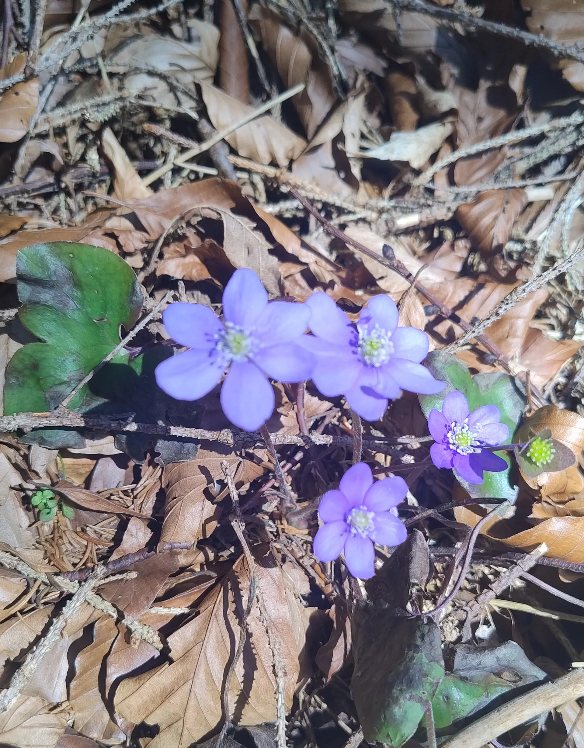 © DAV Sektion Rosenheim