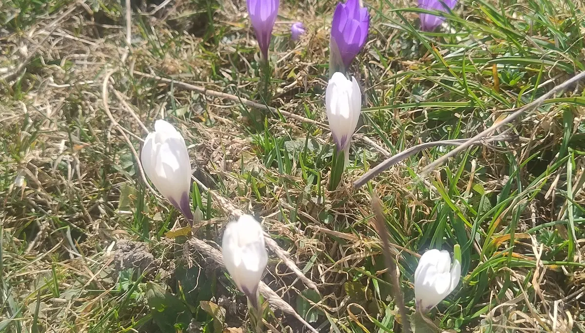 © DAV Sektion Rosenheim