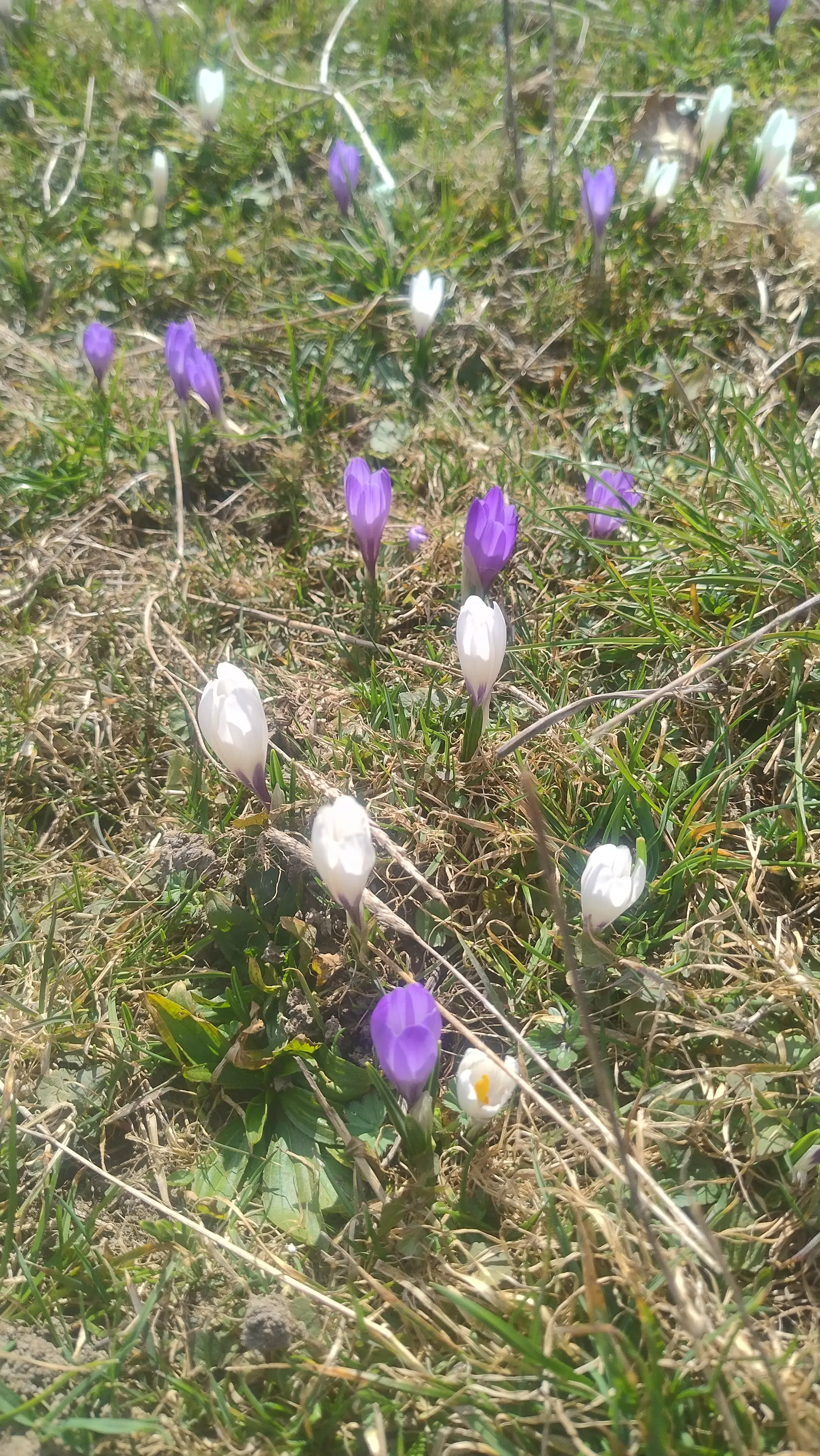 © DAV Sektion Rosenheim