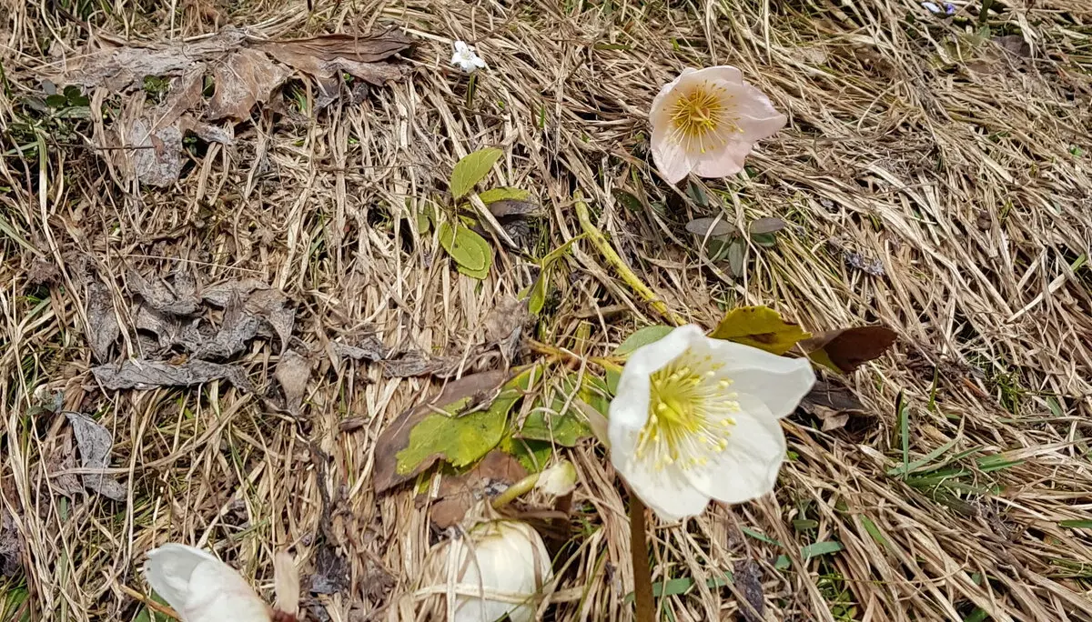 © DAV Sektion Rosenheim