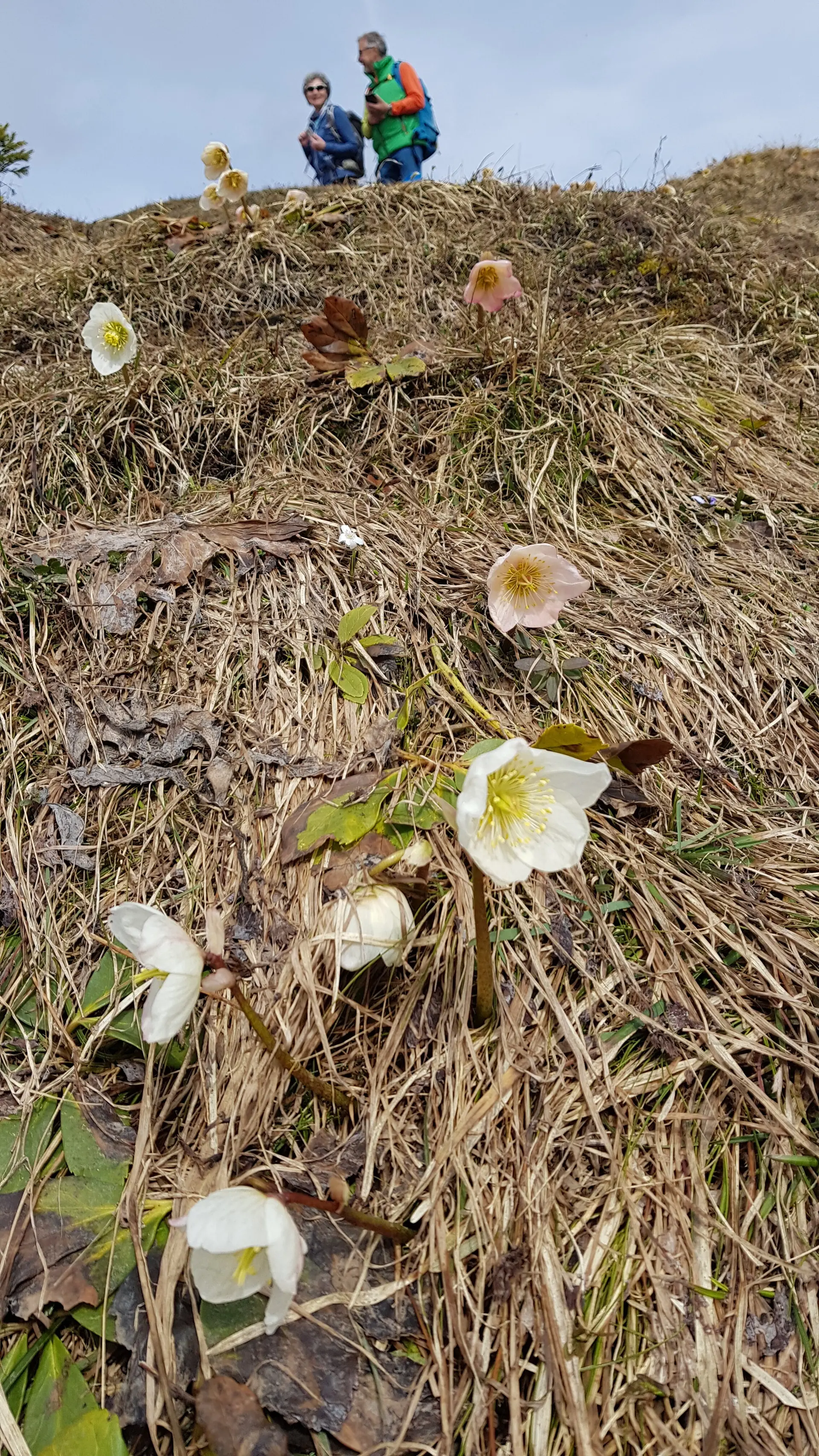 © DAV Sektion Rosenheim