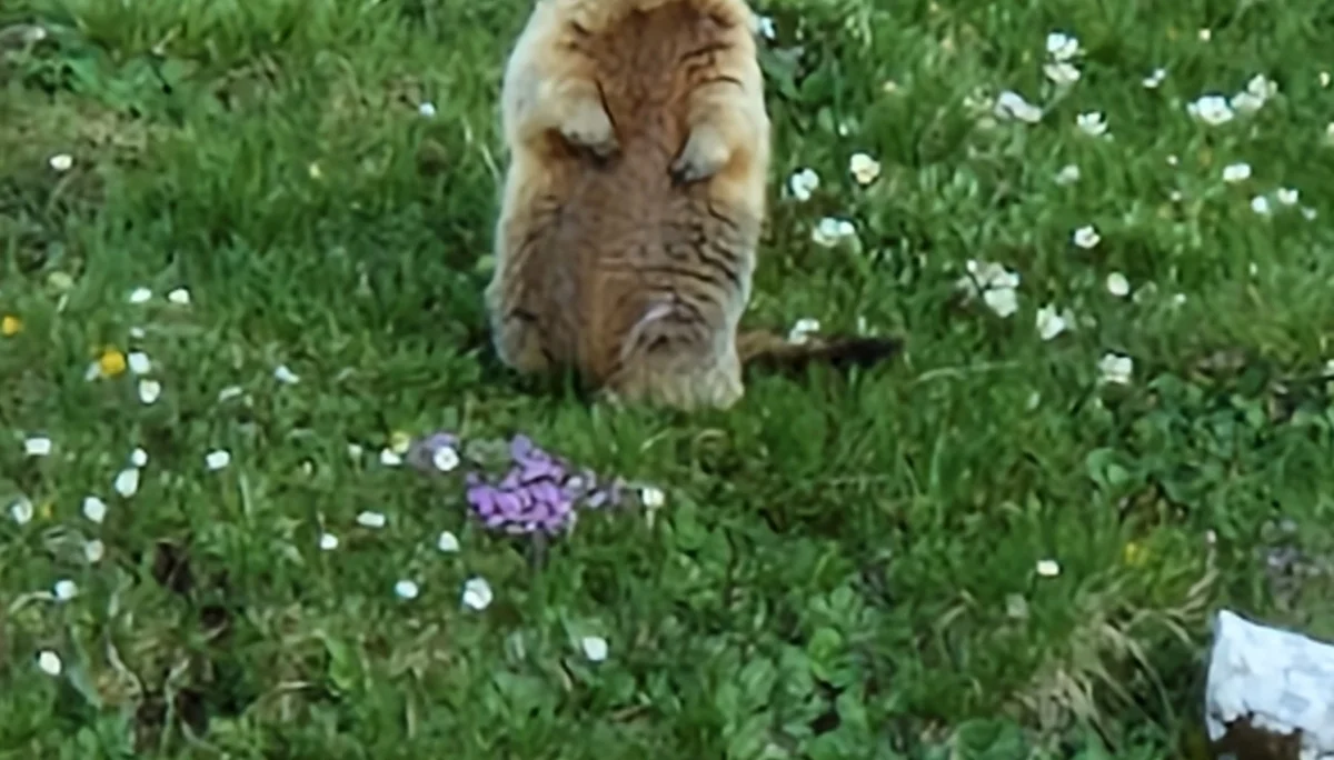 © Sektion Rosenheim DAV