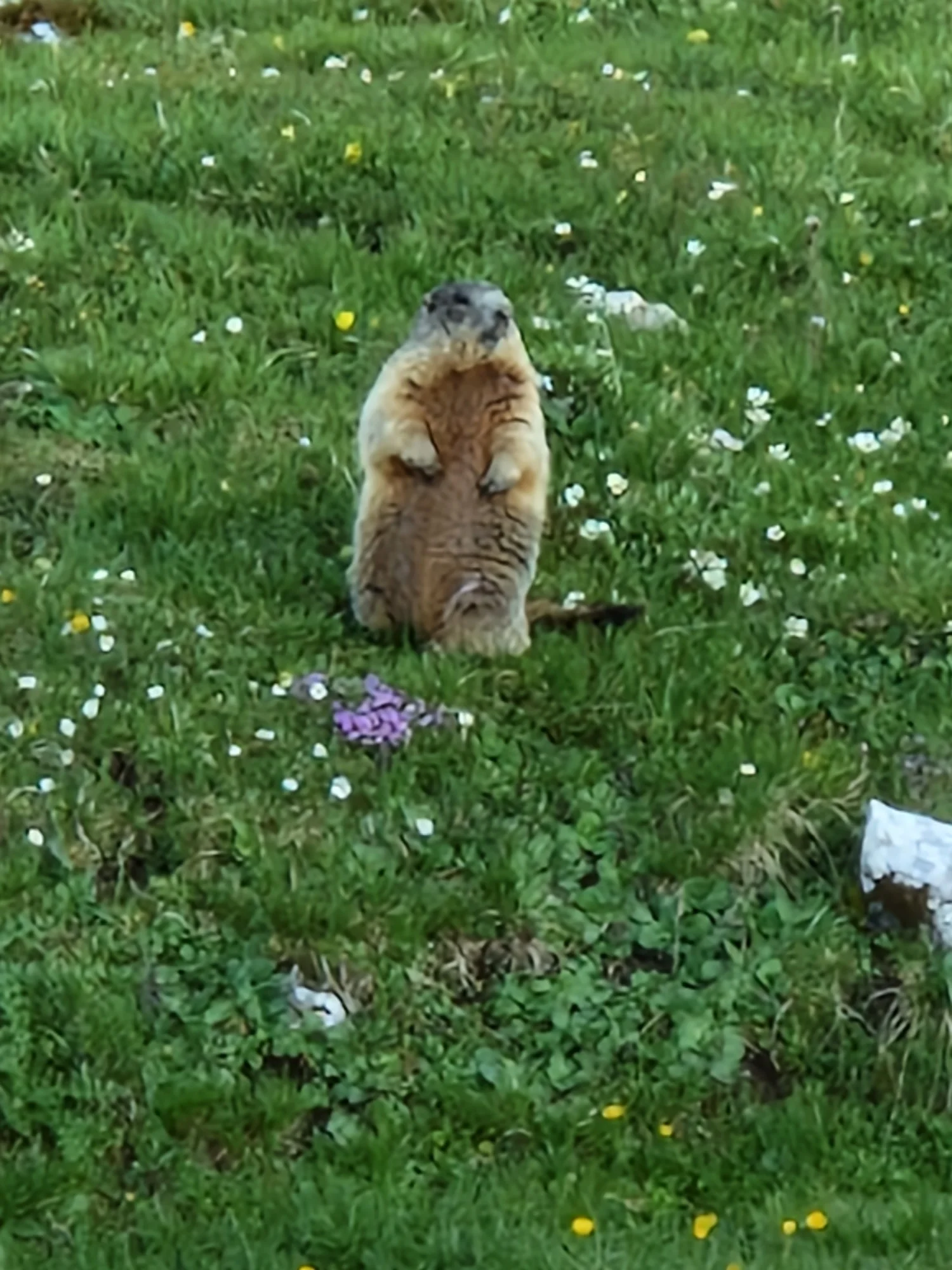 © Sektion Rosenheim DAV