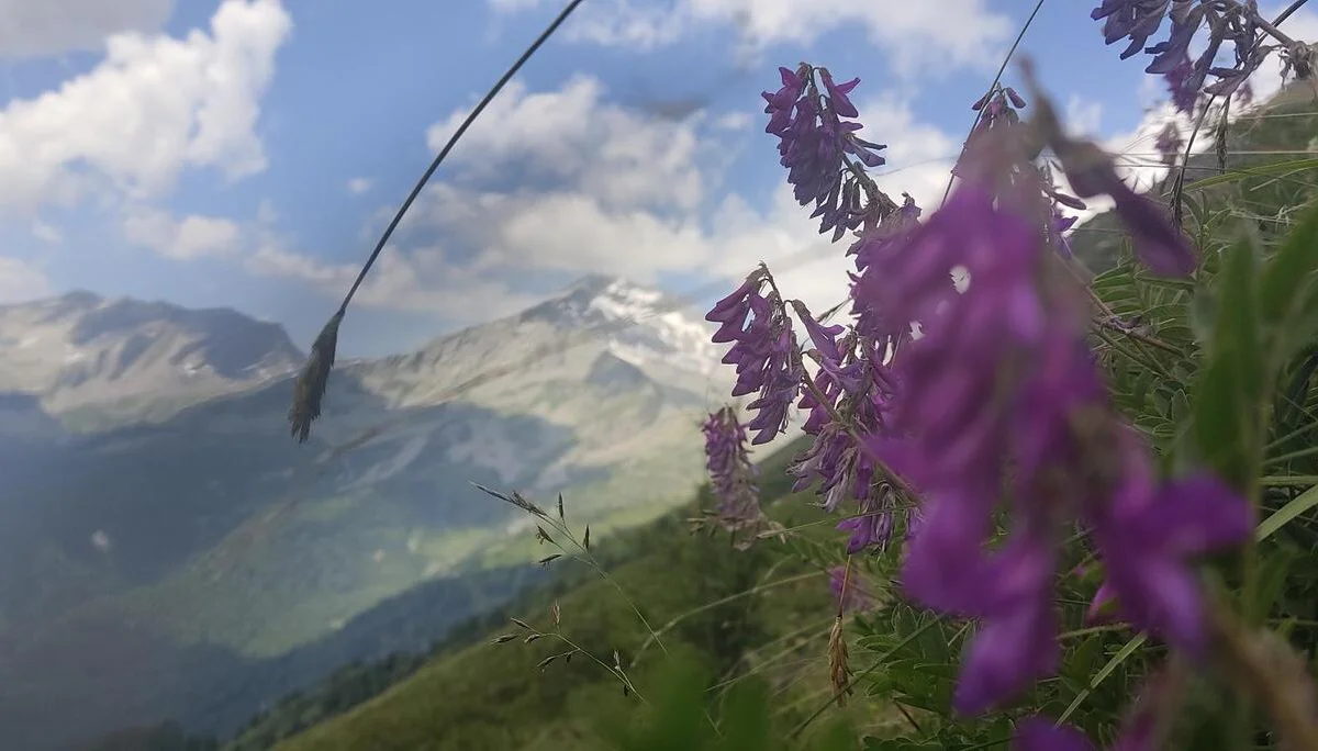 © DAV Sektion Rosenheim