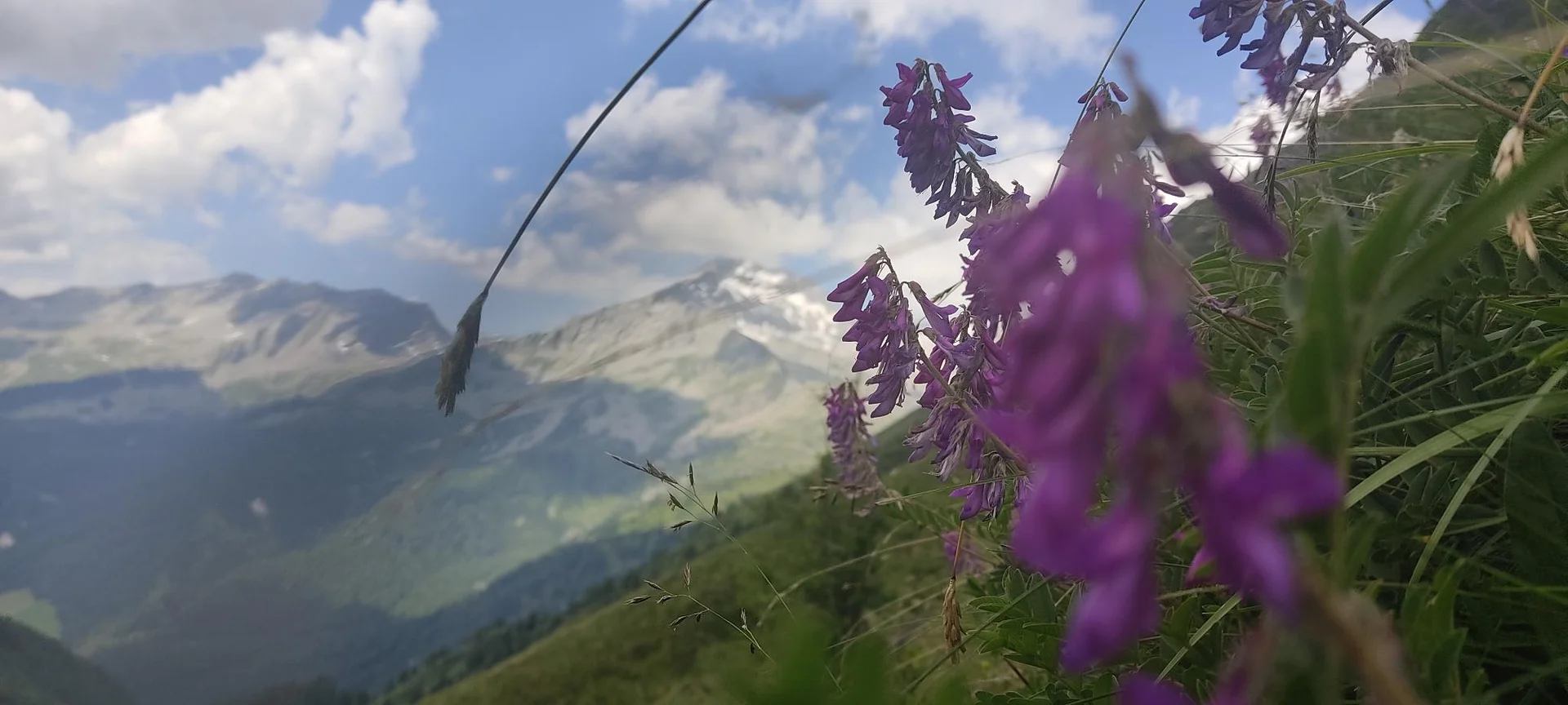 © DAV Sektion Rosenheim