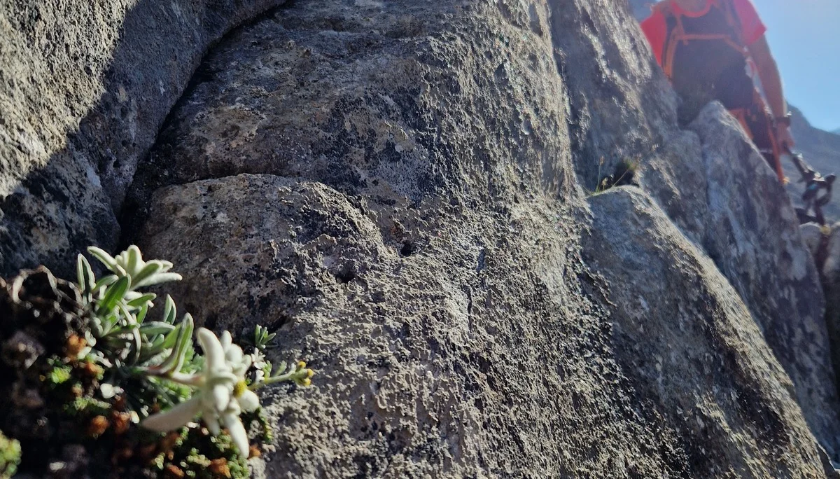 © DAV Sektion Rosenheim