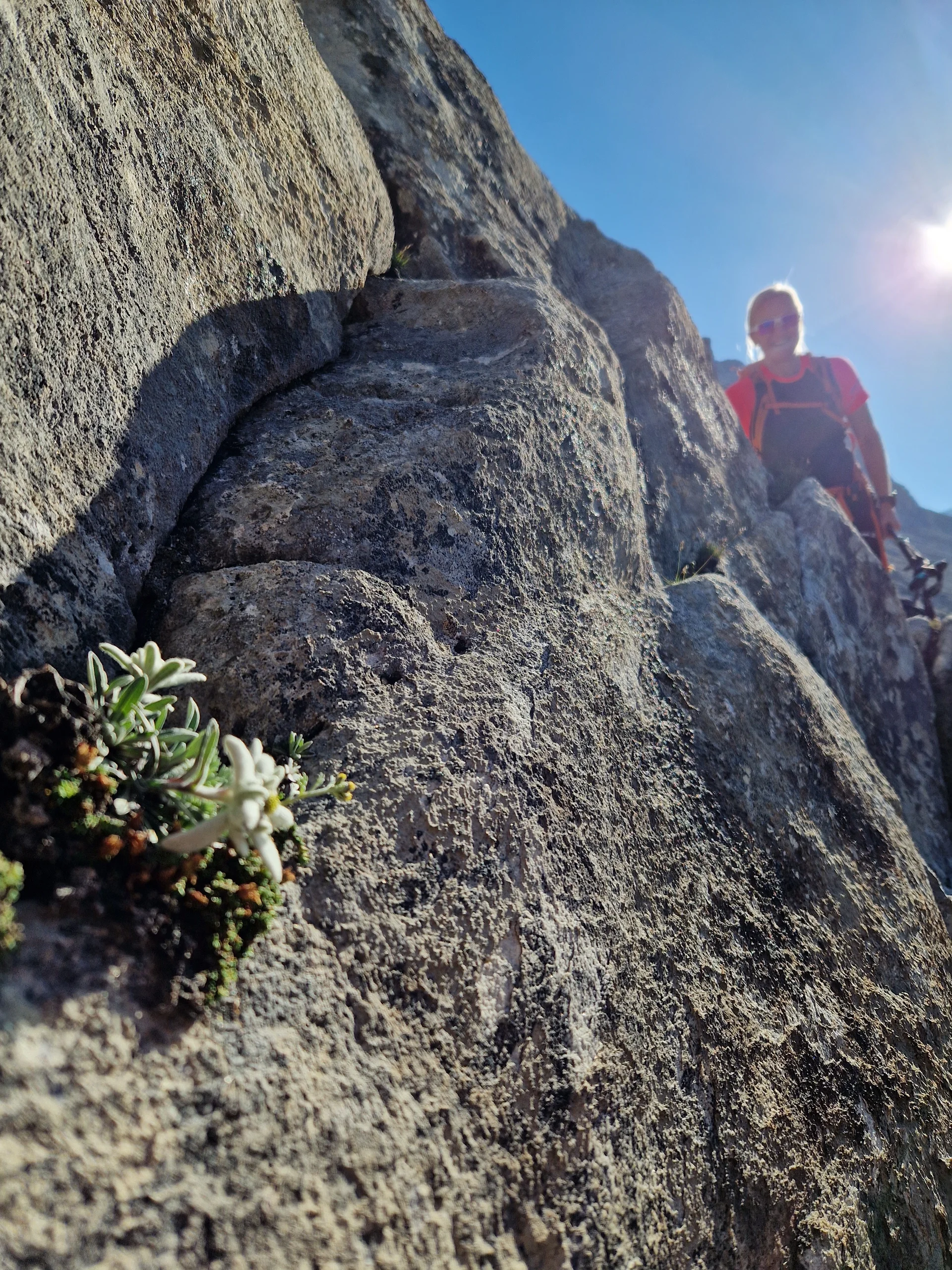 © DAV Sektion Rosenheim