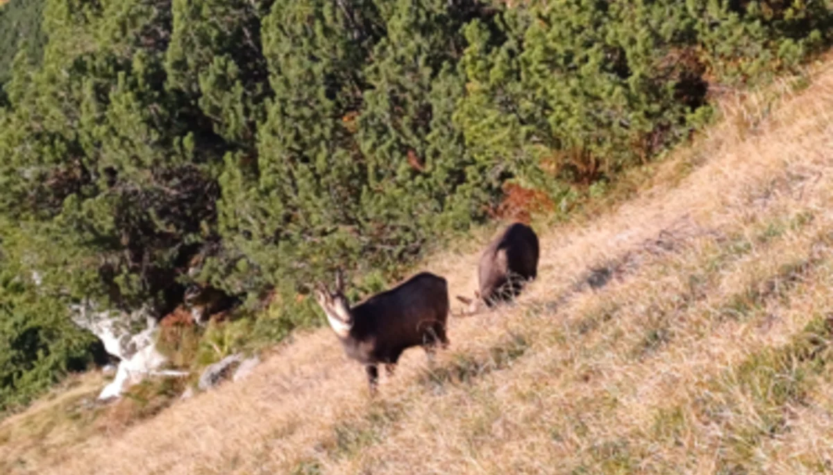 © DAV Sektion Rosenheim