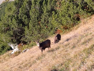 © DAV Sektion Rosenheim