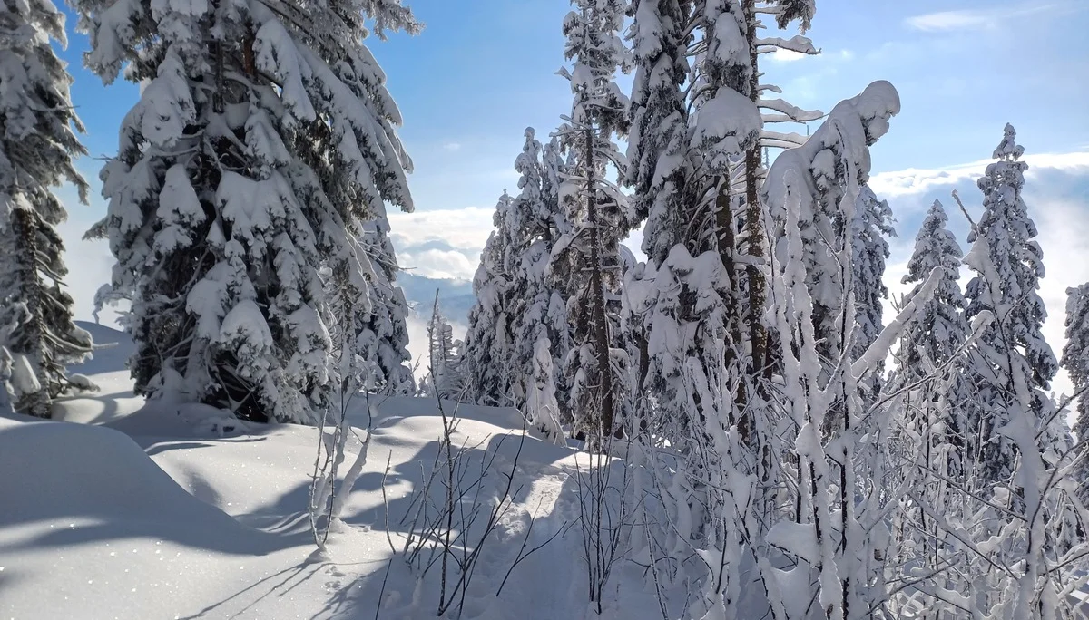 © DAV Sektion Rosenheim