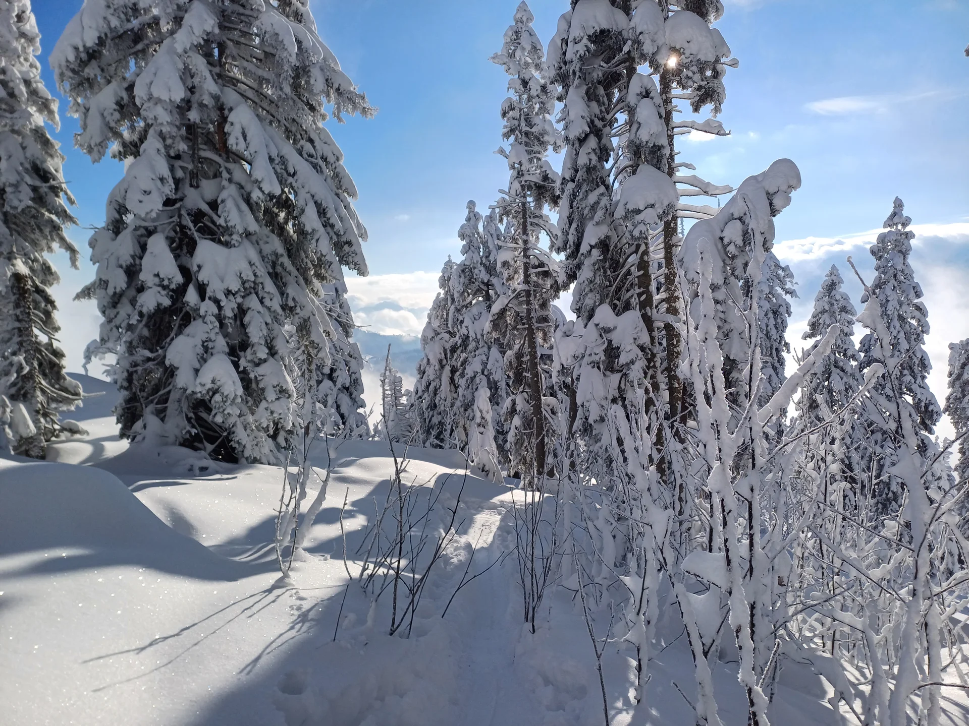 © DAV Sektion Rosenheim