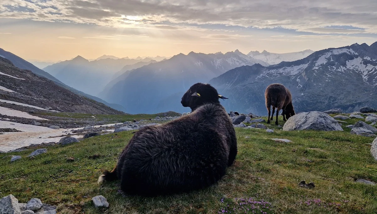 © DAV Sektion Rosenheim