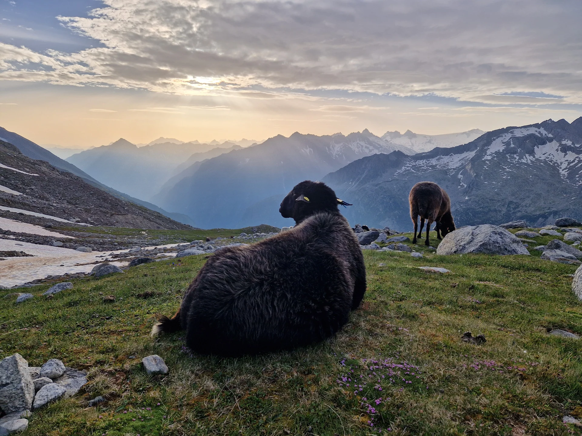 © DAV Sektion Rosenheim