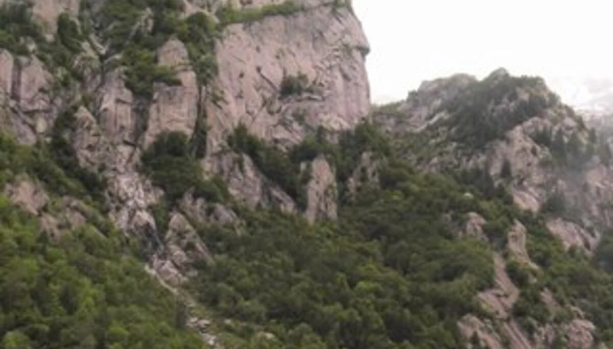 © DAV Sektion Rosenheim Rock&Bloc