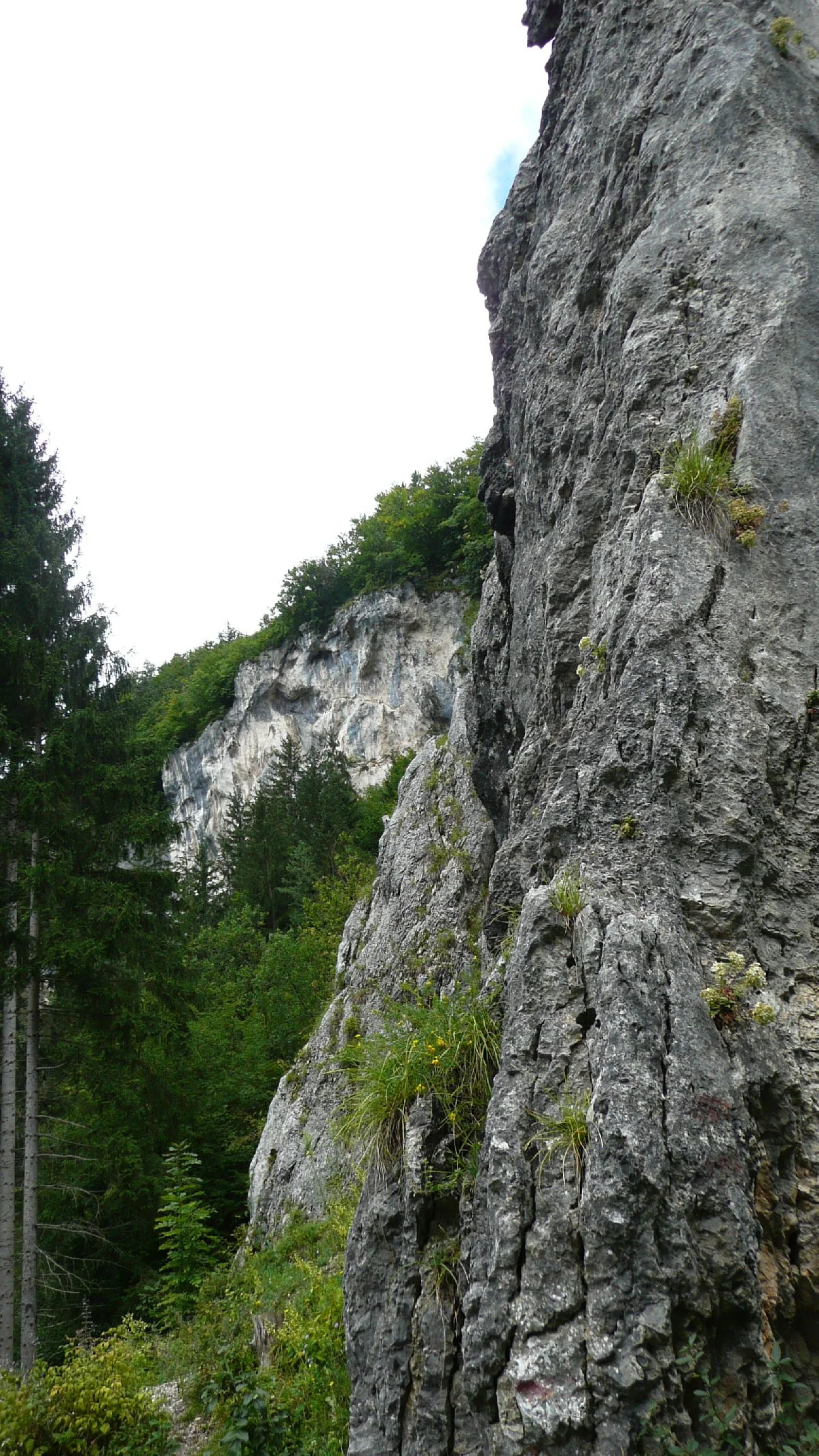 © DAV Sektion Rosenheim Rock&Bloc