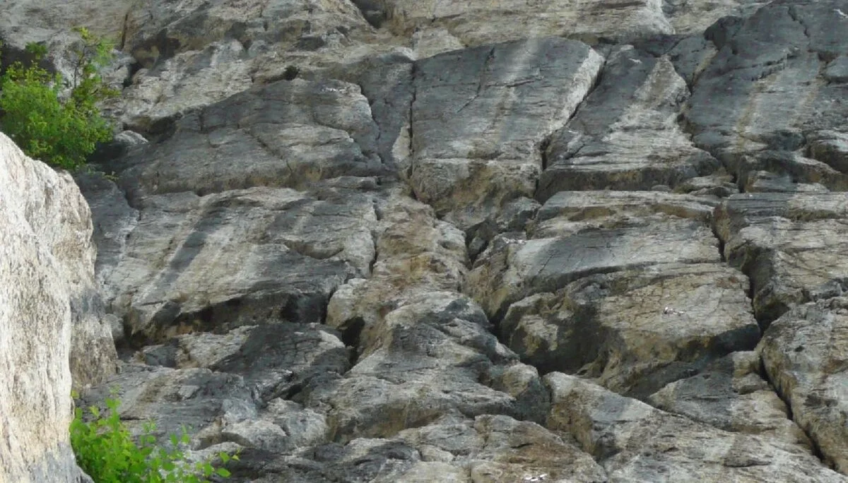 © DAV Sektion Rosenheim Rock&Bloc