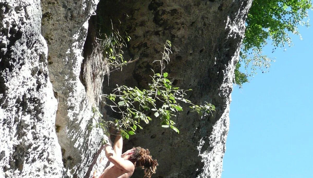 © DAV Sektion Rosenheim Rock&Bloc