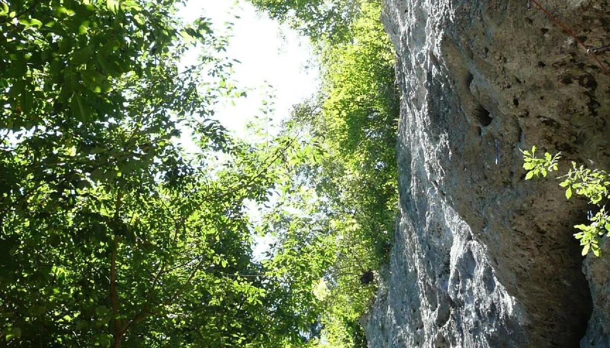 © DAV Sektion Rosenheim Rock&Bloc