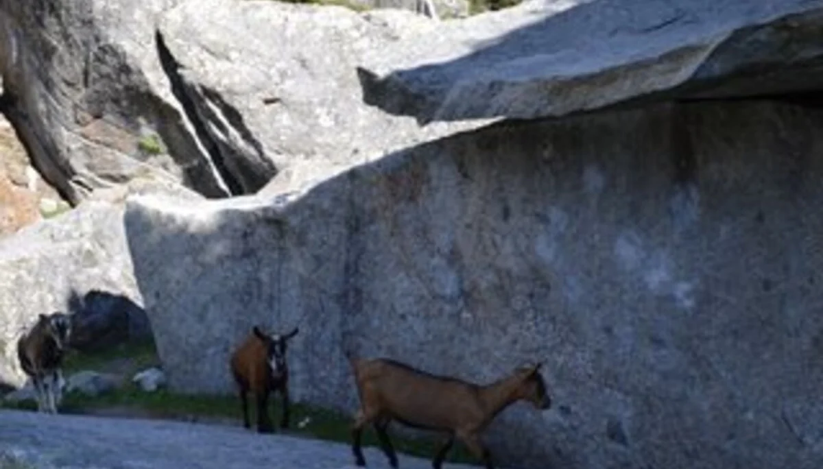 © DAV Sektion Rosenheim Rock&Bloc