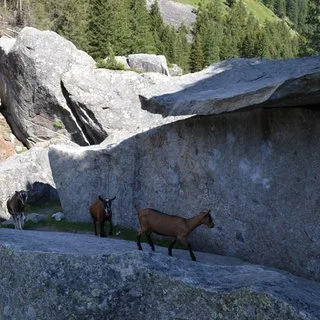 © DAV Sektion Rosenheim Rock&Bloc