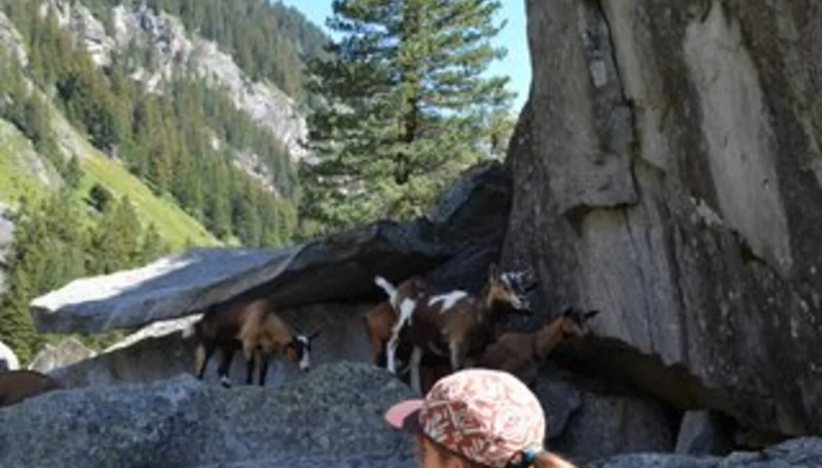 © DAV Sektion Rosenheim Rock&Bloc