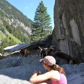 © DAV Sektion Rosenheim Rock&Bloc