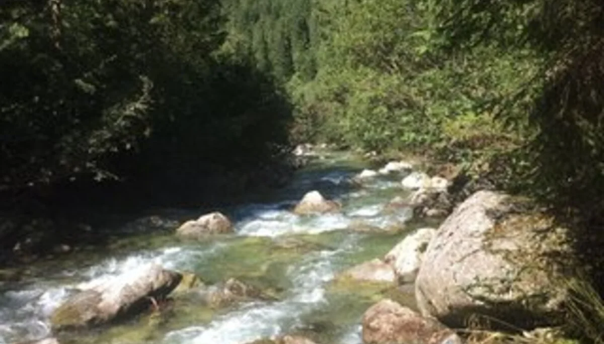 © DAV Sektion Rosenheim Rock&Bloc