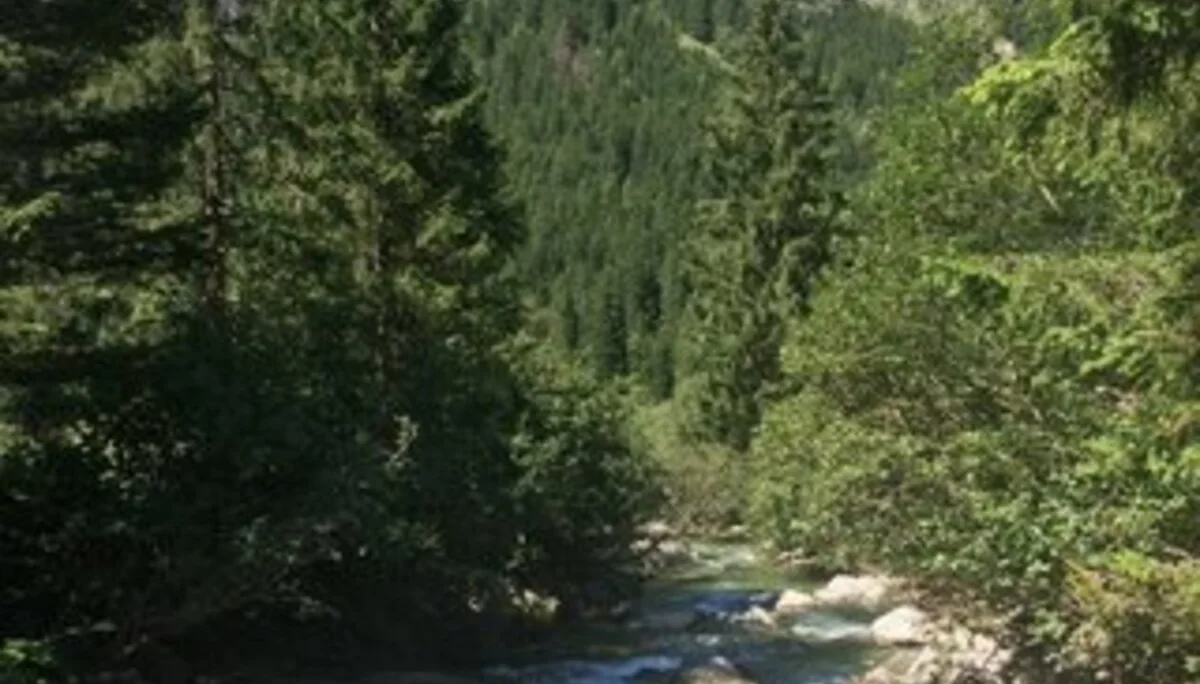 © DAV Sektion Rosenheim Rock&Bloc