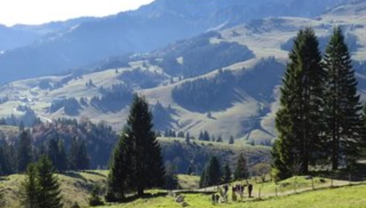 © DAV Sektion Rosenheim Rock&Bloc