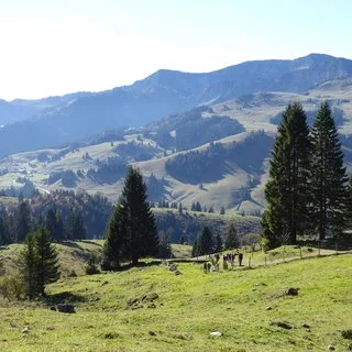 © DAV Sektion Rosenheim Rock&Bloc