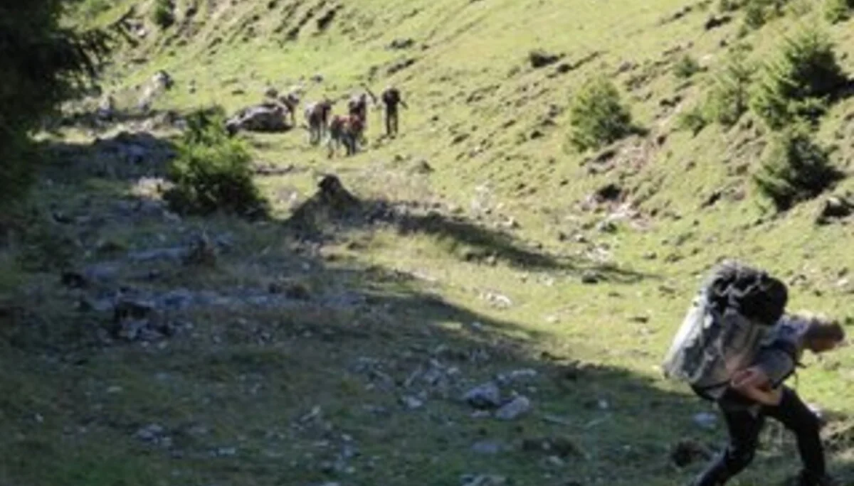 © DAV Sektion Rosenheim Rock&Bloc