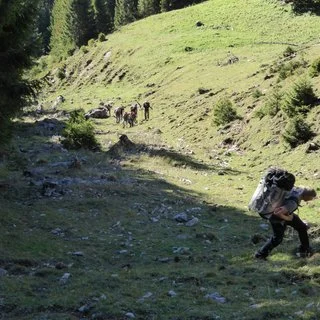 © DAV Sektion Rosenheim Rock&Bloc