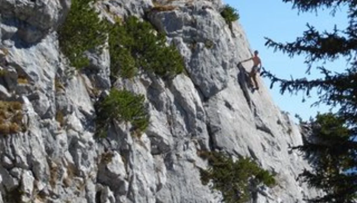 © DAV Sektion Rosenheim Rock&Bloc