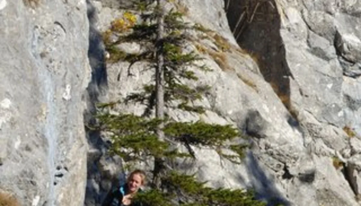 © DAV Sektion Rosenheim Rock&Bloc