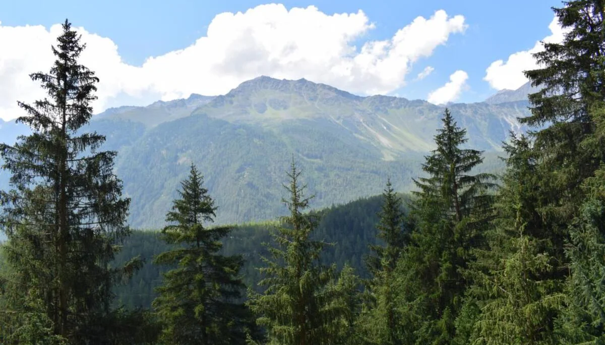 © DAV Sektion Rosenheim Rock&Bloc