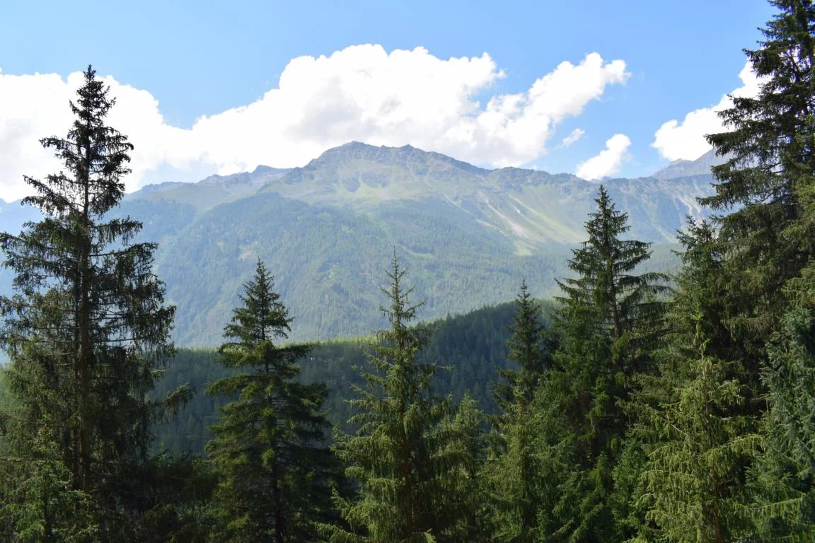 © DAV Sektion Rosenheim Rock&Bloc