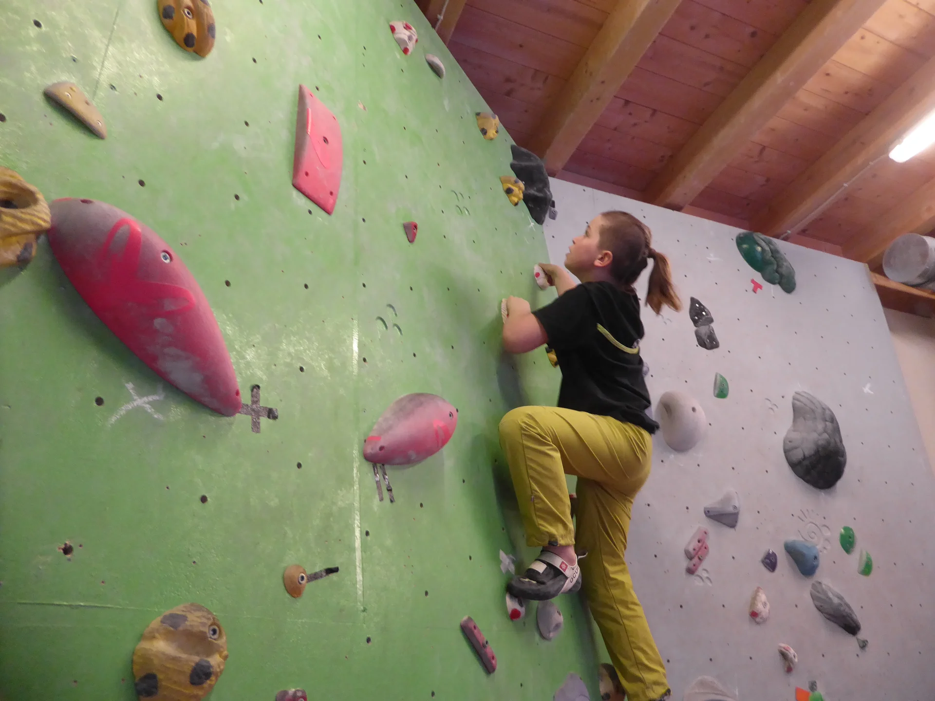 © DAV Sektion Rosenheim Rock&Bloc