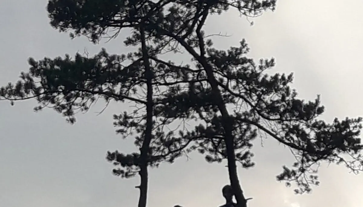 © DAV Sektion Rosenheim Rock&Bloc